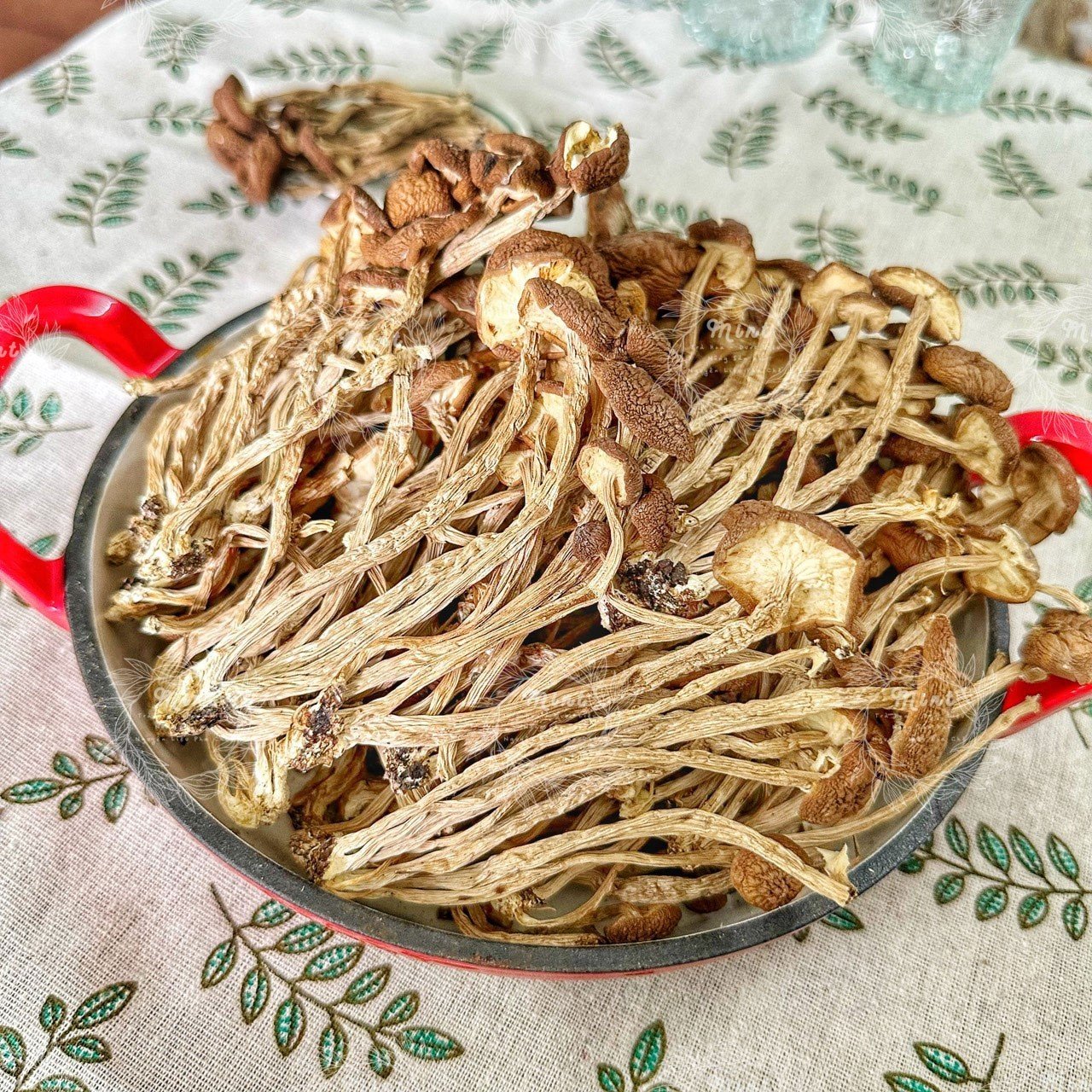 Nấm Chè Sấy Khô (Nấm Trà Tân Khô) - Túi 100gr