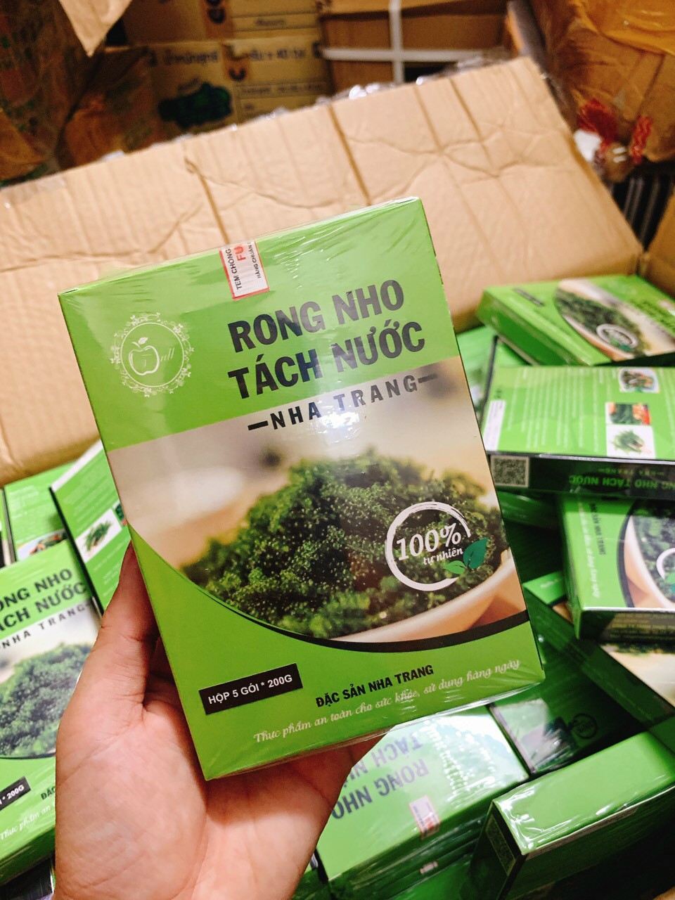 Rong nho tách nước Nha Trang Rong nho tách nước nha trang