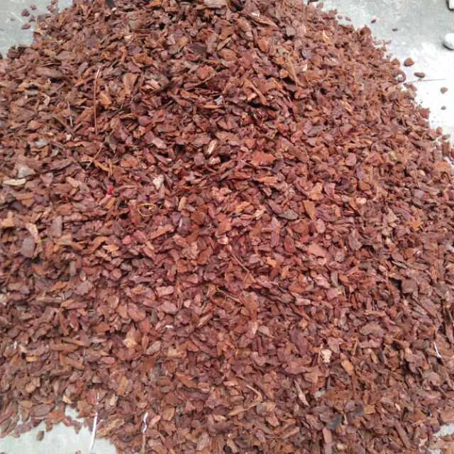 1 Kg Vỏ thông sạch trồng lan