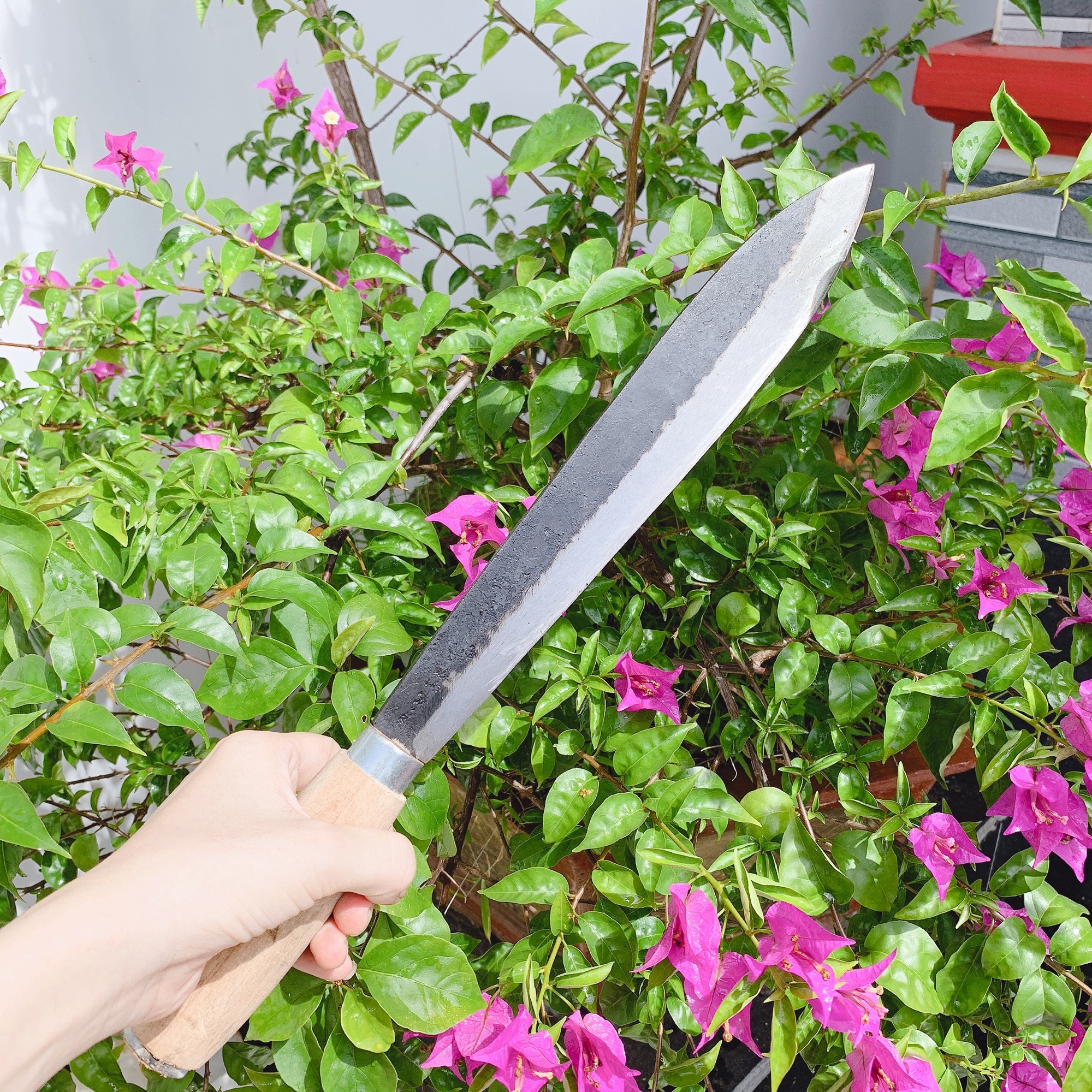 Dao Chặt Nhọn Cỡ Nhỏ