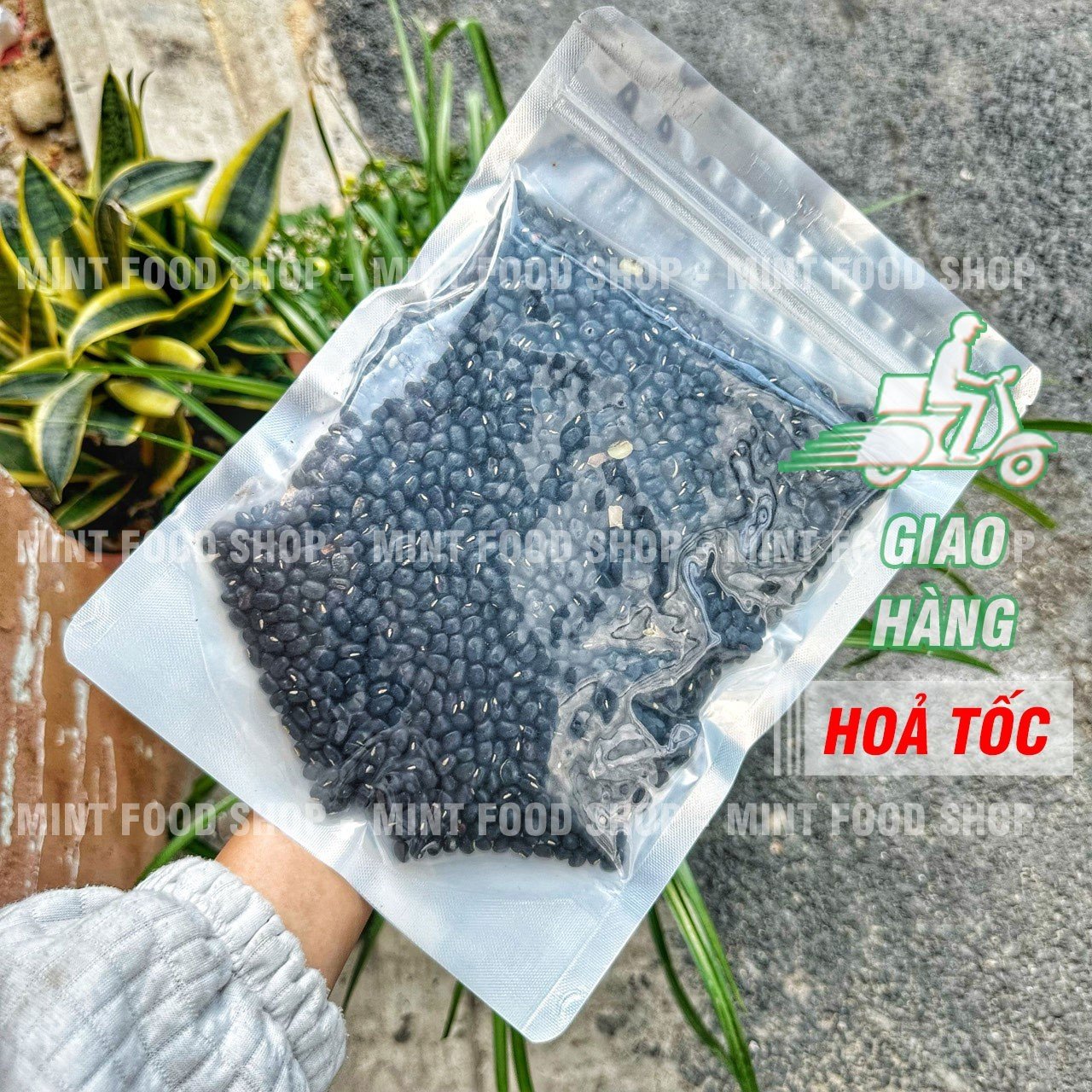 Dried yellow black bean 500gram bag