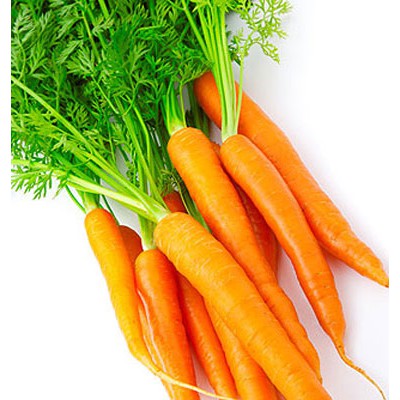 [Seeds] Hạt giống củ Cà rốt, đóng gói 5gr