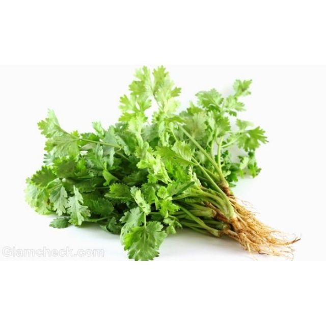 Hạt giống rau ngò rí