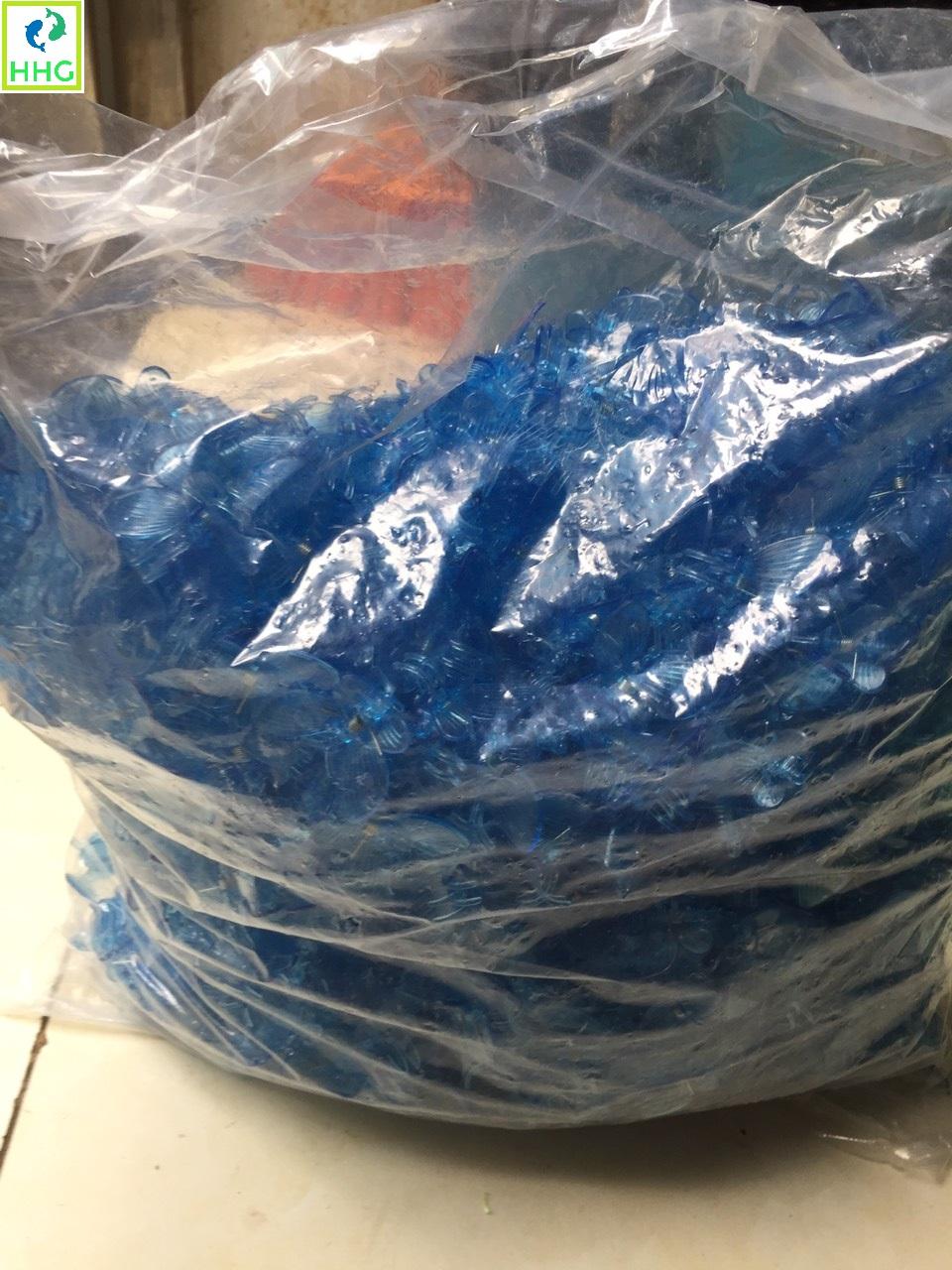 TÚI 100 KẸP BƯỚM TRỒNG LAN SIÊU ĐẸP (LOẠI MÀU XANH NƯỚC BIỂN)