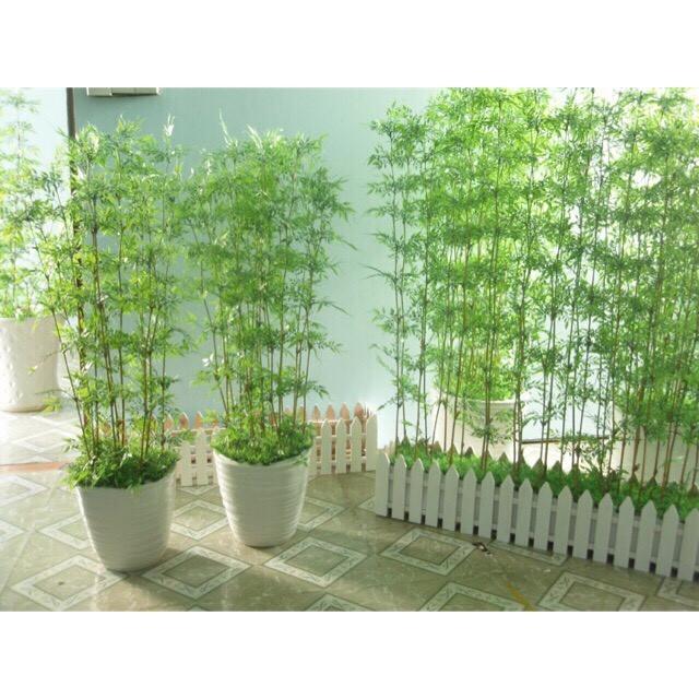 Set 5 cây trúc giả ít lá độ cao 150cm