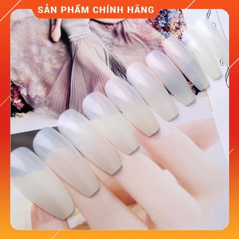 [HCM]MÓNG ÚP HÀN FORM THANG BỊCH 600 MÓNG