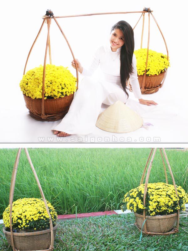 Bộ quang gánh to