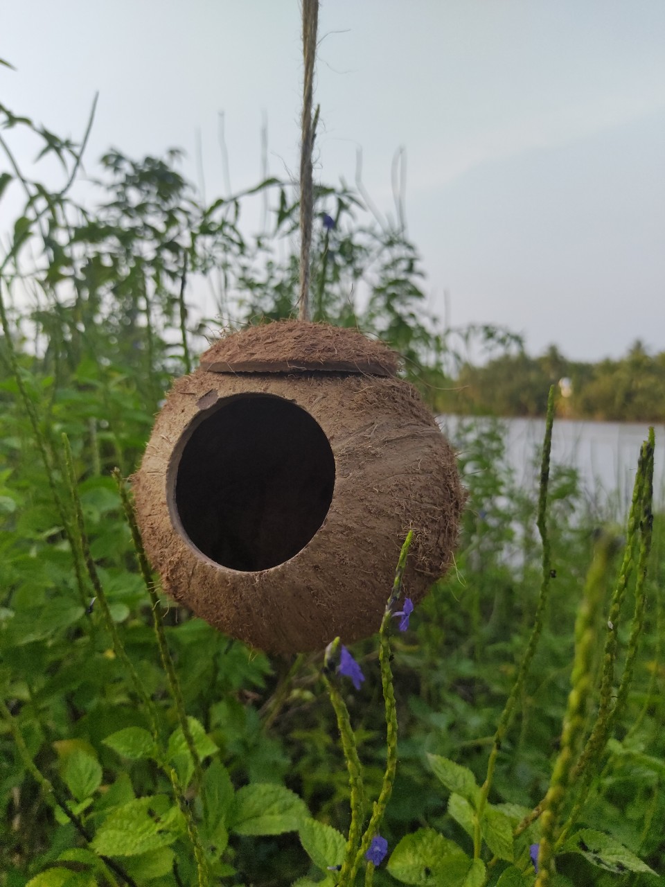 TỔ CHIM, SÓC, THÚ CƯNG BẰNG GÁO DỪA (KHOAN ĐẦU GÁO)
