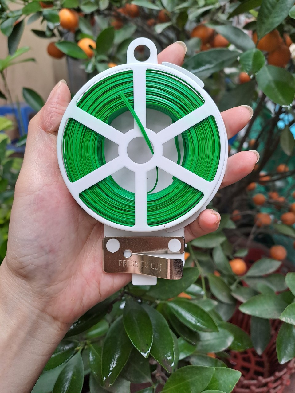 Cuộn dây CỐ ĐỊNH LAN VÀ CÂY CẢNH 100m cắt sẵn