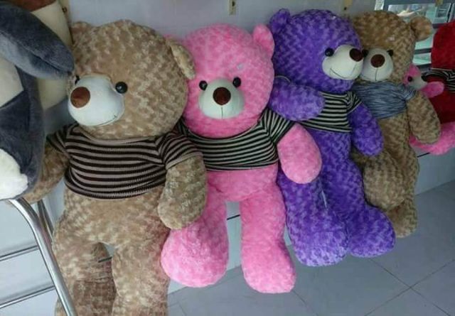 Gấu bông teddy khổ vải 1m2