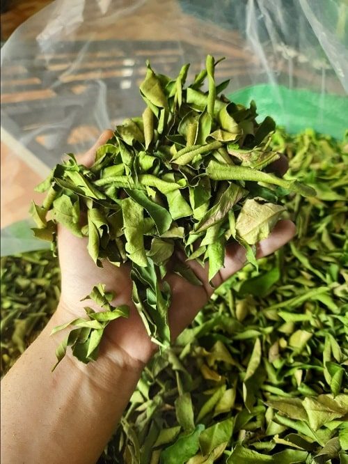 Lá chanh sấy khô 100g (thơm, sạch)