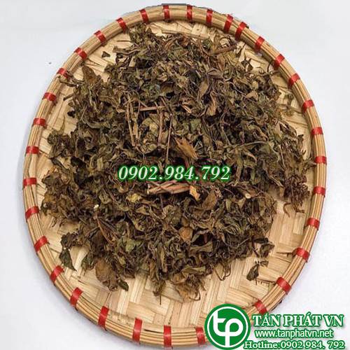 Lá đinh lăng khô 1kg - Trà ngon chuyên dùng để cải thiện giấc ngủ - Hàng loại 1 chất lượng cao