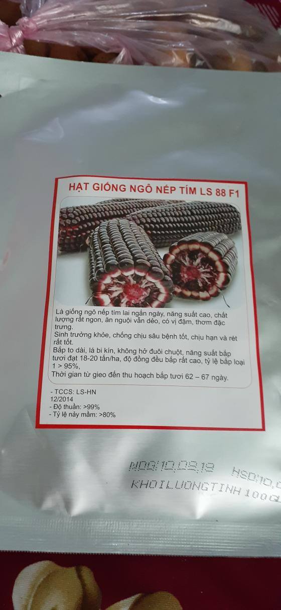 Hạt giống ngô nếp tím ( bắp nếp tím ) - Gói 5gram