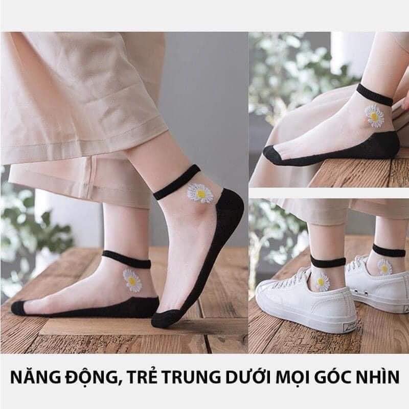 Set 10 Đôi Tất Ren Lụa Hoa Cúc Hot Trend 2020 VT0037
