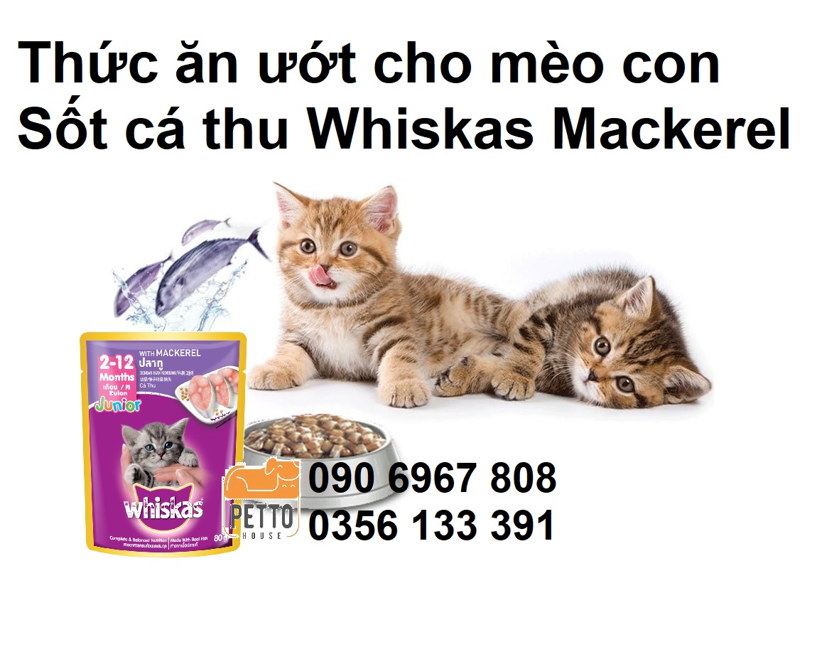 Thức ăn ướt sốt cá thu cho mèo con Whiskas Junior Mackerel 80g