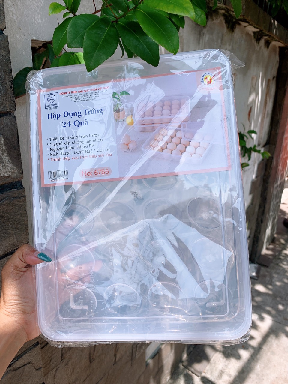 HỘP ĐỰNG TRỨNG 24 QUẢ