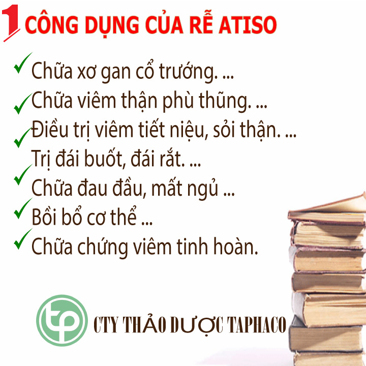 Rễ atiso sấy khô 500g - Thảo Dược Tấn Phát - Chuyên dùng để pha trà giúp thanh nhiệt và giải độc