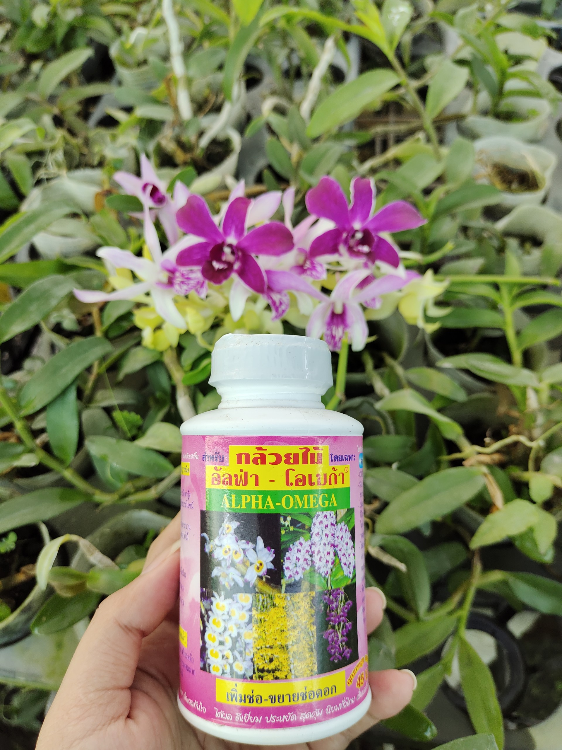 Dung Dịch Kích Hoa Thái Lan -  Alpha Omega 250ml