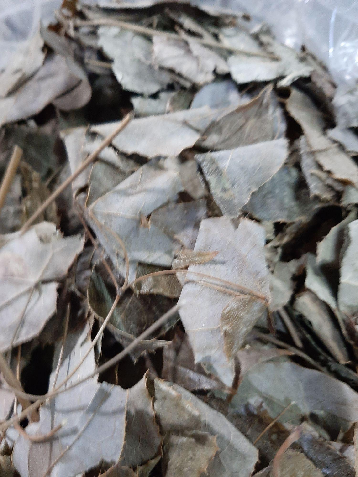500g lá cây dâm dương hoắc