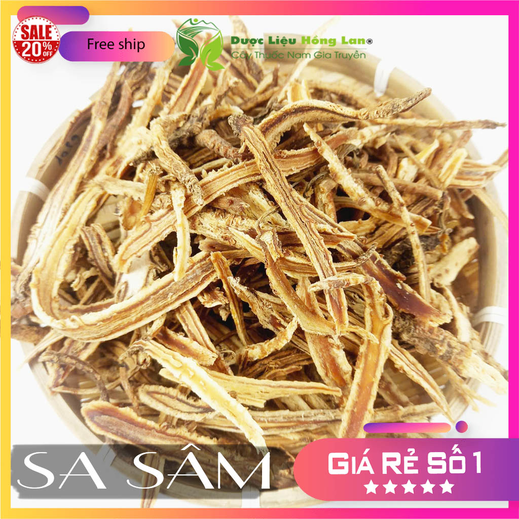 [FreeshipMAX] ✅[THƯỢNG HẠNG] 500g Sa Sâm đẹp loại 1
