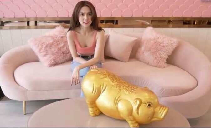 Heo đất khổng lồ dài 70cm, heo đất siêu to khổng lồ, bao đổi trả hoàn tiền miễn phí nếu hàng không đúng mô tả