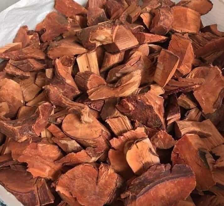 1kg Cây Mú Từn khô Bổ Thận Tráng Dương GT265