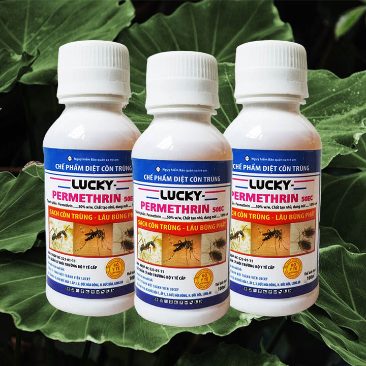 COMBO 3 Chế phẩm diệt muỗi, kiến, gián LUCKY PERMETHRIN 50EC 100ml