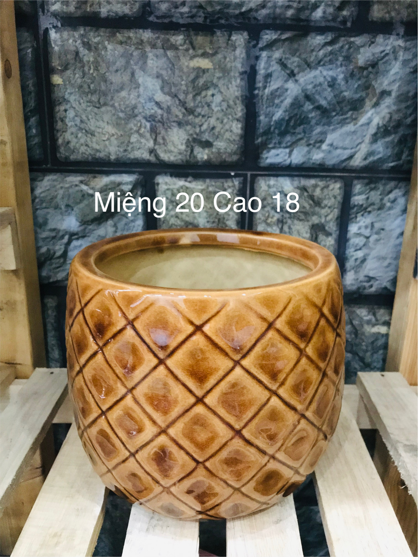 CHẬU SỨ XUẤT KHẨU SIZE VỪA ( CHỈ GIAO HỎA TỐC HỒ CHÍ MINH )