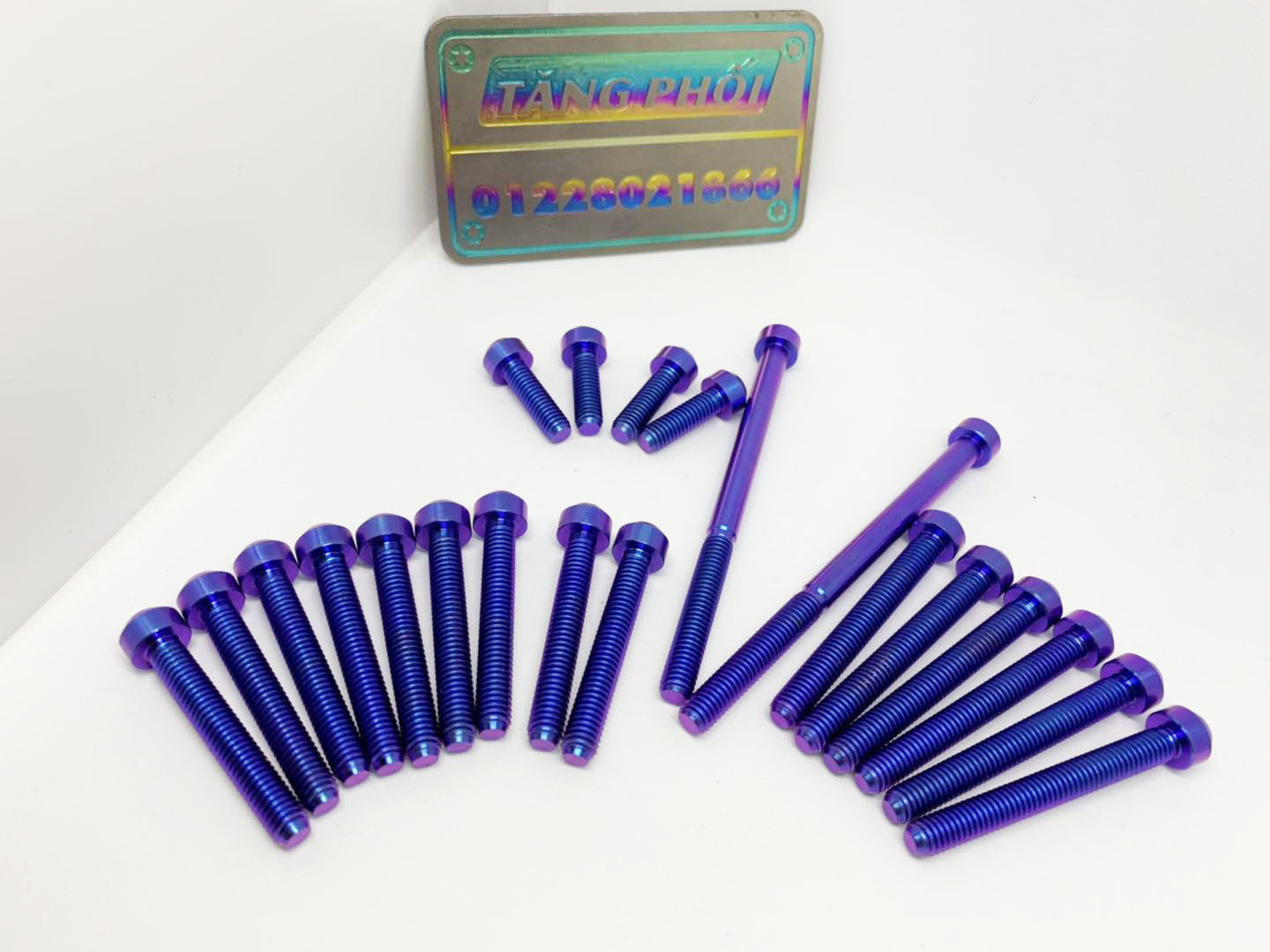 Ốc lốc máy Ex150 Exciter155  Titan Gr5 đầu trụ ( 21 con )