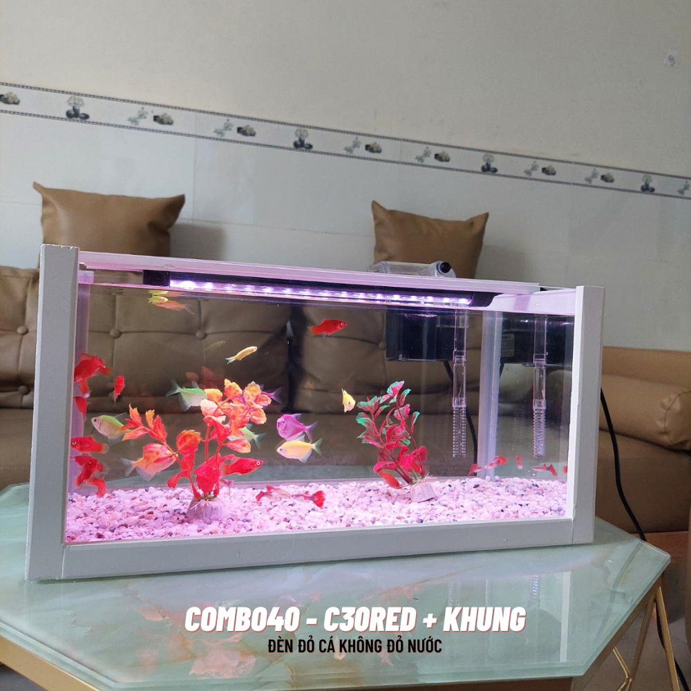 Bể cá mini 40cm COMBO đầy đủ phụ kiện
