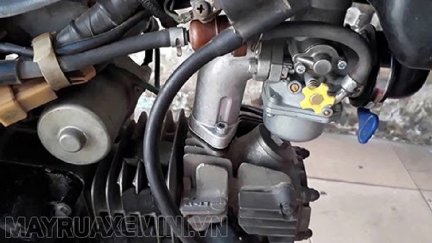 Bình xăng con Bông mai vàng 150cc