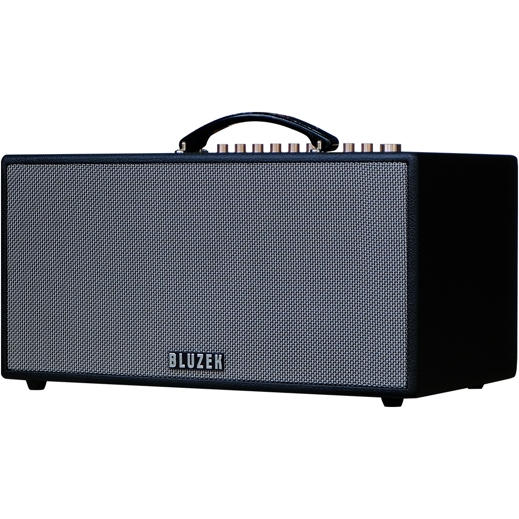 Dàn âm thanh di động xách tay BLUZEK BZ447