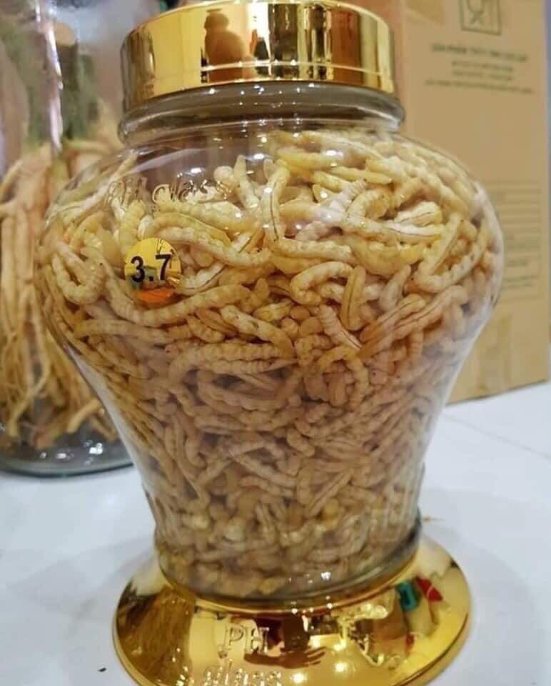 SÂU CHÍT NGÂN SẴN VỀ UỐNG (1.200.000/10lit bình nhựa)