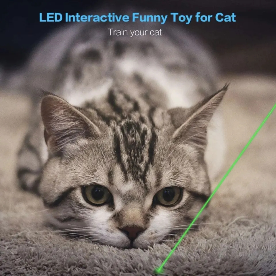 Đèn pin lazer siêu mạnh nhỏ gọn bỏ túi sạc lại qua cổng USB tia xanh
