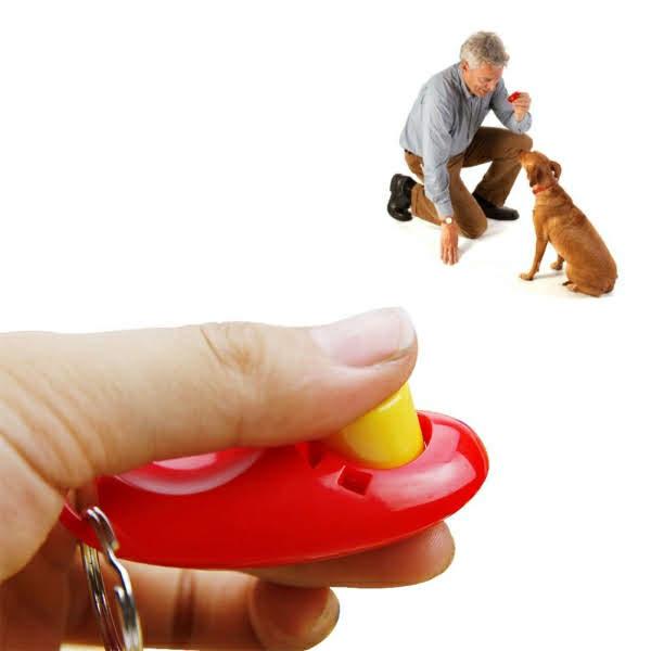 Clicker huấn luyện chó