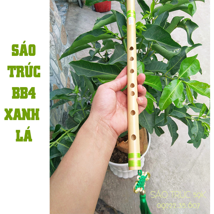 [HCM]SÁO TRÚC BB4 XANH LÁ HL59