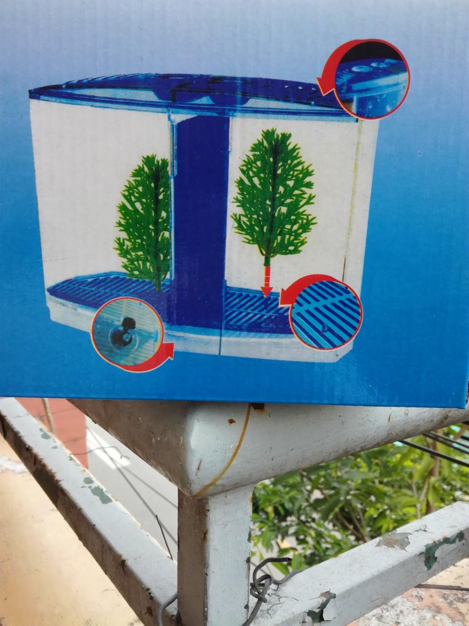 [HCM]Hồ Cá Betta 2 Ngăn Bằng Nhựa