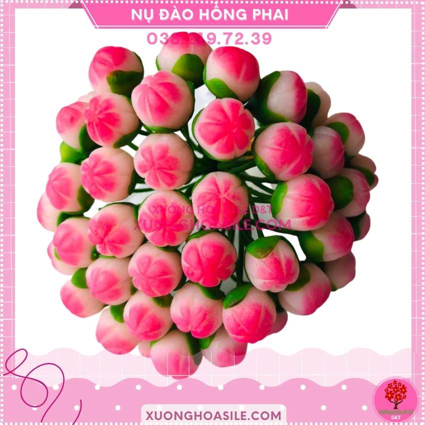 [HCM]NỤ ĐÀO GIẢ, NỤ ĐÀO ĐẤT SÉT
