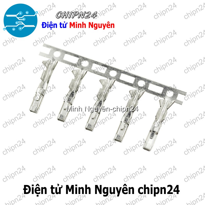 [25 cái] Lõi Header SM Dupont Cái 2.54mm (Dùng bấm đầu dây điện cho Dây cắm Testboard) - HH004996