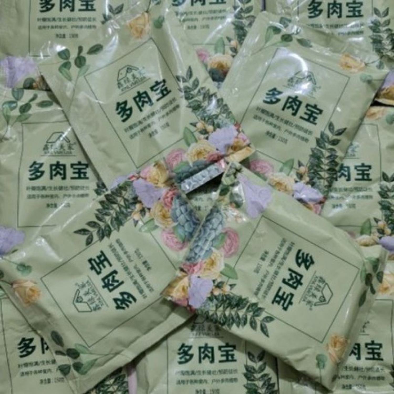 Phân bón chuyên dung cho sen đá