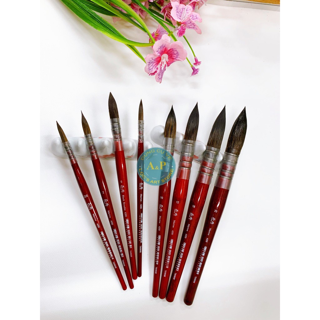 CỌ MOP VẼ MÀU NƯỚC LÔNG CHỒN CAO CẤP SỐ 10 A200 (CHENG TE)