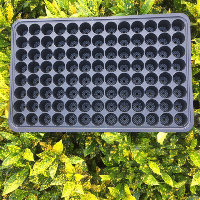 Khay Ươm Vỉ Ươm Hạt 104 Lỗ