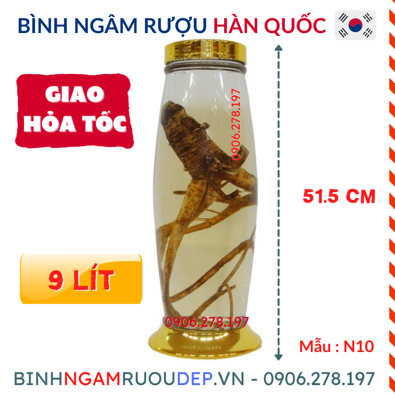 Bình ngâm rượu hàn quốc 9l bình rượu đẹp thủy tinh pha lê no10 - mã : no10