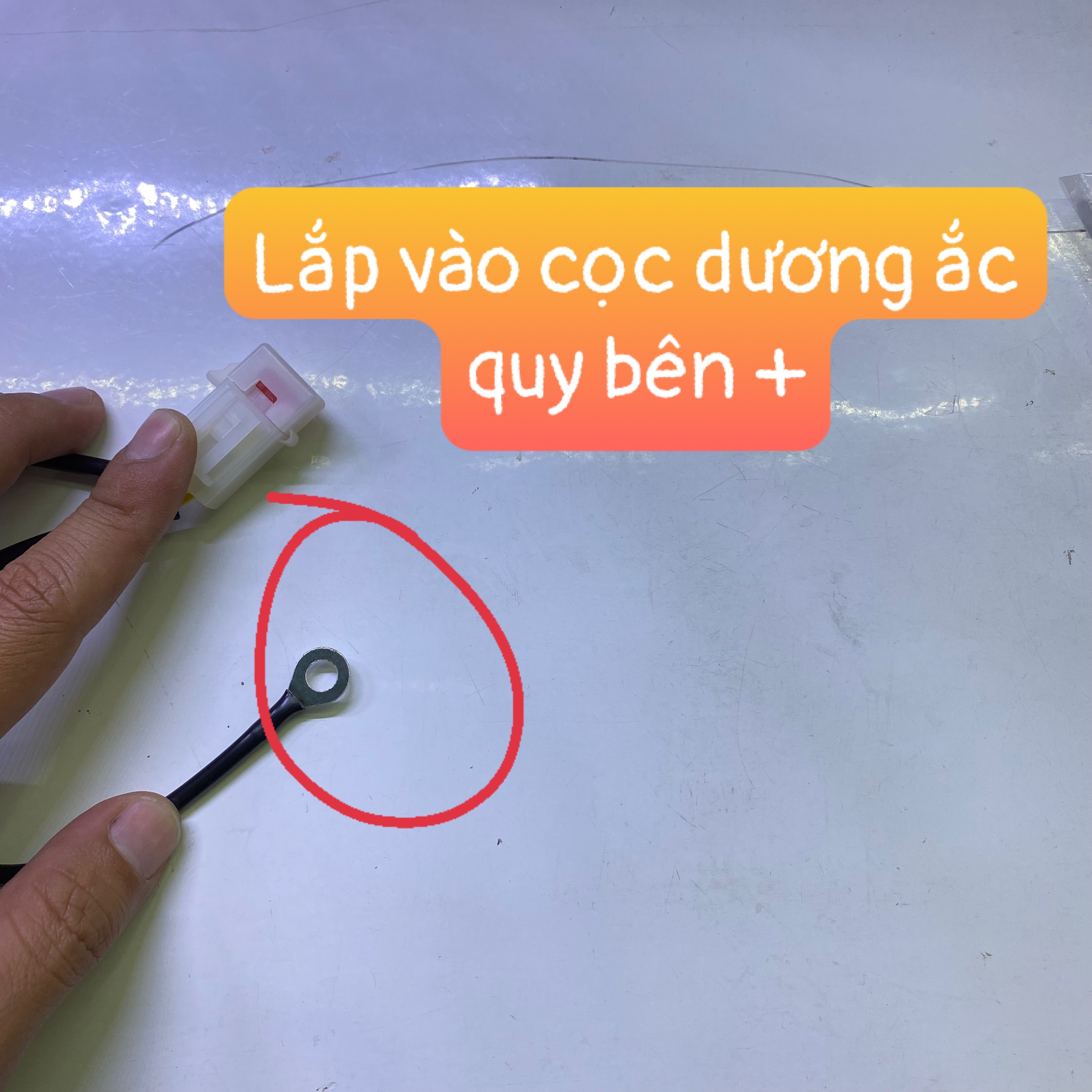 Mạch Passing chung pha Winner x , Winer V3 xài công tắc zin