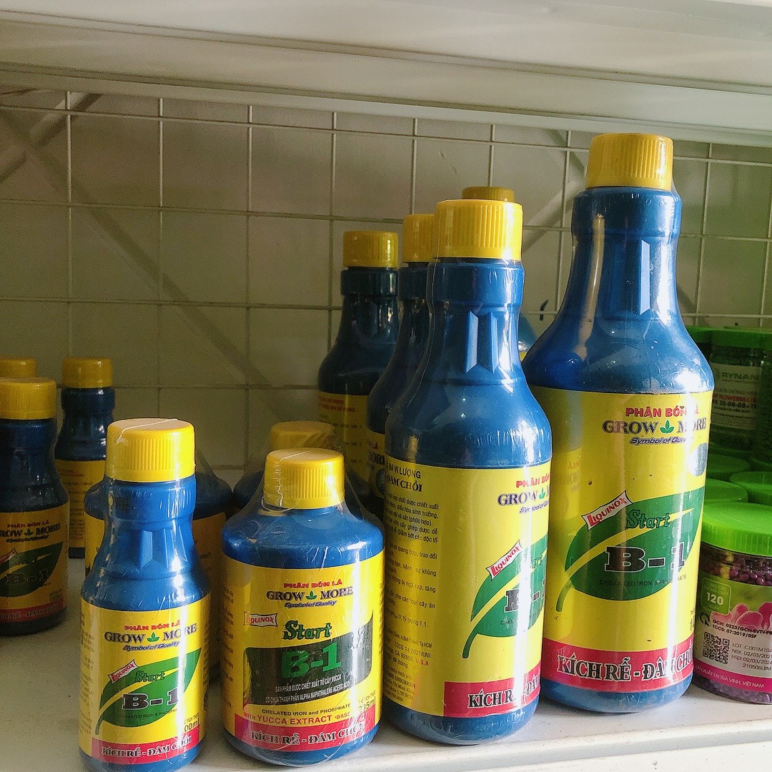 Phân bón lá Vitamin B1 Mỹ chai 1 lít