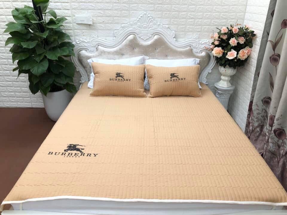 Chiếu đũi điều hòa siêu mềm siêu mát( tặng kèm 2 vỏ gối)