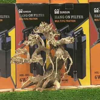 [Nhập RS0822 giảm 30k cho đơn 99k]Cây BONSAI mini cho hồ thủy sinh