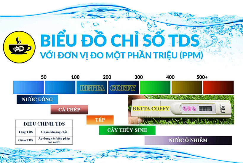 Bút Đo Chất Lượng Nước TDS-3 Loại 1 - BETTA COFFY