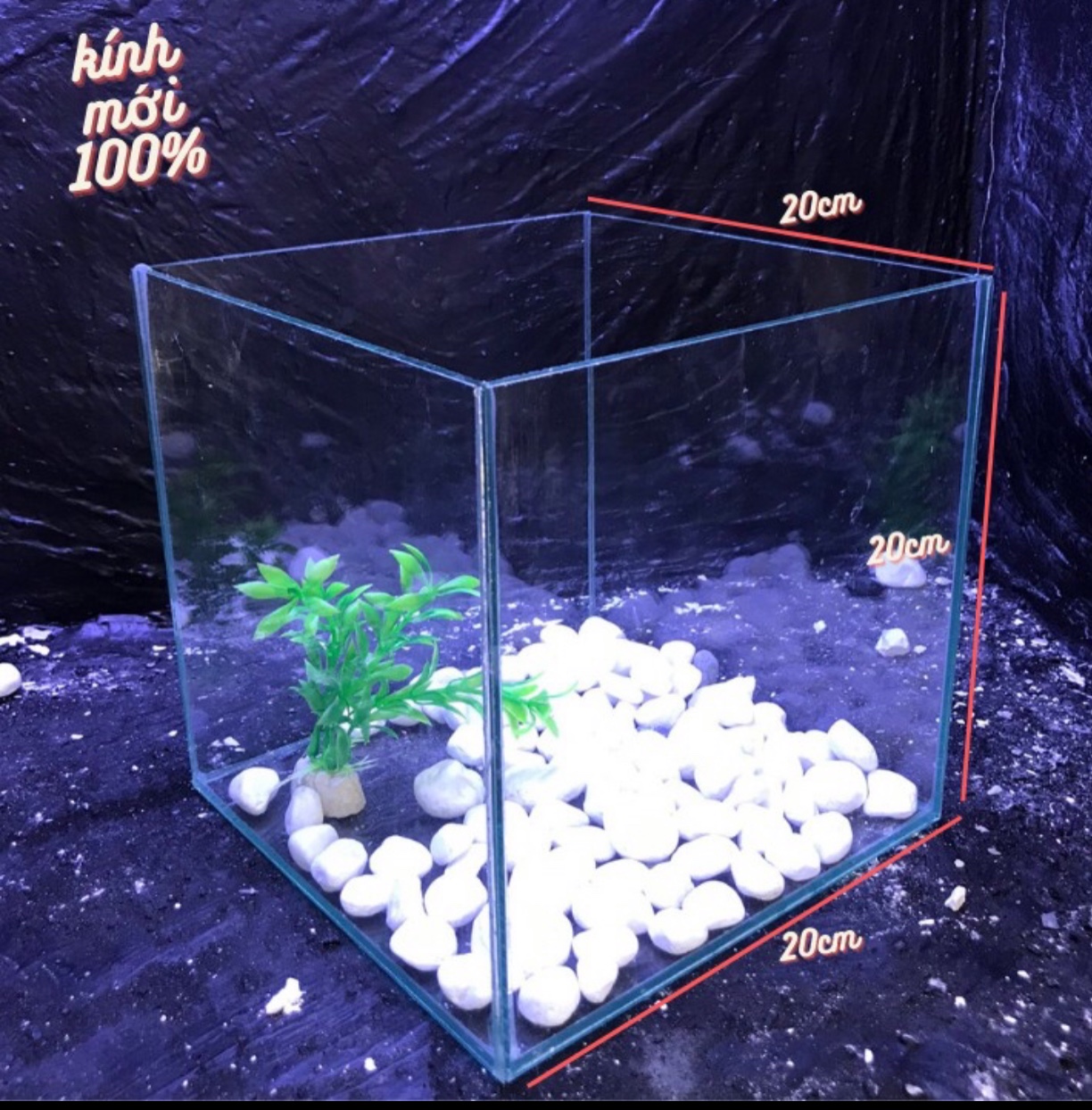 bể cá rubic 20x20x20