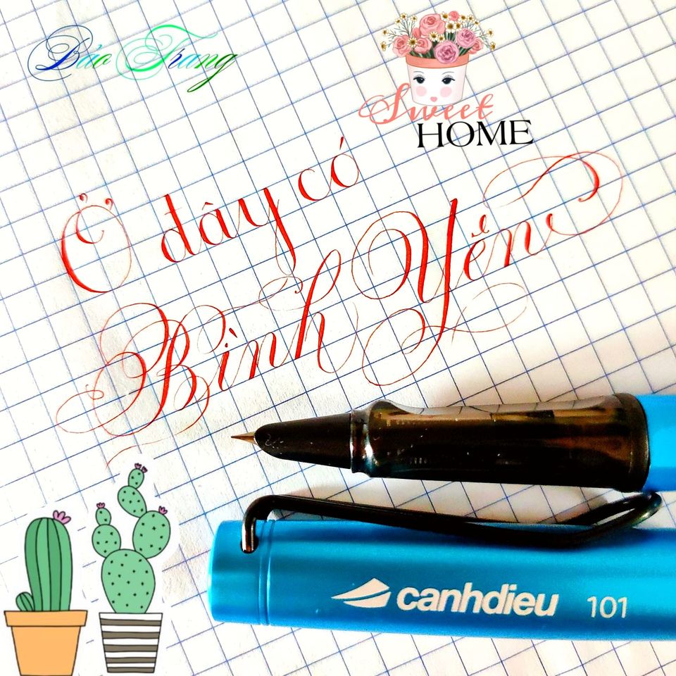 Bút CD101 ngòi kim tinh lá tre